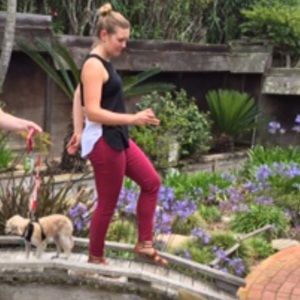 Black and White Banana Republic Sleeveless Blouse